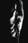 fo_20090617_14
